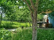 3 otaqlı həyət evi/bağ evi - İsmayıllı - 100 m²