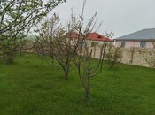 Torpaq - Şamaxı - 6 sot