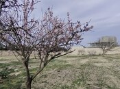 Продаётся  участок 12 сот, пос. Бильгях, photo 7 from 8