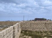 Torpaq - Novxanı q. - 2.5 sot