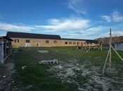 Продаётся  участок 40 сот, Абшеронcкий  р., photo 8 from 8