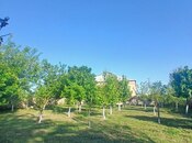 4 otaqlı həyət evi/bağ evi - Mingəçevir - 220 m²