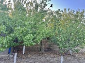 Satılır 5 otaqlı həyət evi/bağ evi 200 m², Görədil q., photo 3 from 8