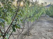 Satılır 5 otaqlı həyət evi/bağ evi 200 m², Görədil q., photo 7 from 8