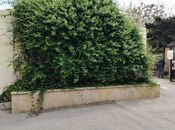 Продаётся 4-комн. новостройка 173 м², м. Элмляр Академиясы, photo 2 from 8