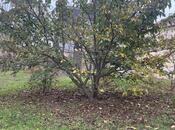 Продаётся 4-комн. дом/дача 150 м², пос. Новханы, photo 5 from 8
