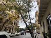 İcarəyə verilir  obyekt 35 m², Sahil m., photo 2 from 4