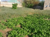 Продаётся  участок 10 сот, пос. Бильгях, photo 6 from 8