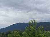 Продаётся  участок 12 сот, photo 1 from 2
