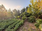 Продаётся  участок 28 сот, пос. Мардакан, photo 8 from 8