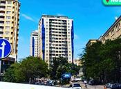 4-комн. новостройка - м. 28 мая - 217 м²