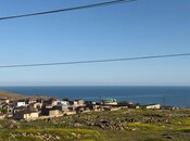 Torpaq - Badamdar q. - 4.1 sot