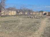 Satılır  torpaq 24 sot, Nardaran q., photo 7 from 8