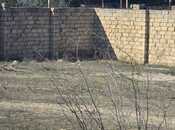 Satılır  torpaq 24 sot, Nardaran q., photo 2 from 8