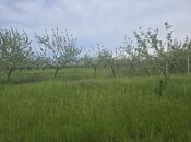Продаётся  участок 49 сот, photo 5 from 6
