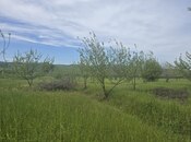 Продаётся  участок 49 сот, photo 2 from 6