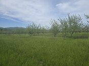 Продаётся  участок 49 сот, photo 6 from 6