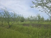 Продаётся  участок 49 сот, photo 3 from 6