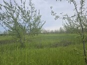 Продаётся  участок 49 сот, photo 4 from 6
