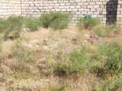 Продаётся  участок 4 сот, пос. Бузовна, photo 1 from 6