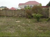 Satılır  torpaq 5 sot, Saray q., photo 5 from 5