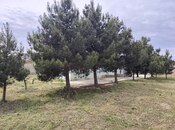 3 otaqlı həyət evi/bağ evi - Maştağa q. - 90 m²