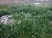 Satılır  torpaq 12 sot, Novxanı q., photo 3 from 6