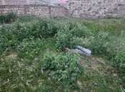 Satılır  torpaq 12 sot, Novxanı q., photo 1 from 6