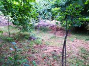 Продаётся  участок 14 сот, photo 3 from 8