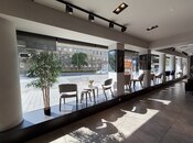 Сдаётся  объект 455 м², м. Низами, photo 8 from 8