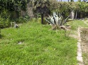 Torpaq - Buzovna q. - 15.5 sot