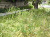 Продаётся  участок 15.5 сот, пос. Бузовна, photo 6 from 8