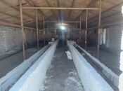 Сдаётся  объект 1 200 м², пос. Мамедли, photo 7 from 7