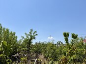 Продаётся  участок 9 сот, пос. Вишнёвка, photo 7 from 8