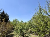 Продаётся  участок 9 сот, пос. Вишнёвка, photo 3 from 8