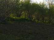 Продаётся  участок 20 сот, photo 3 from 5