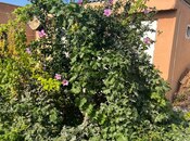 3 otaqlı həyət evi/bağ evi - Dübəndi q. - 90 m²