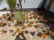 3 otaqlı həyət evi/bağ evi - Məmmədli q. - 110 m²