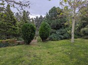 5 otaqlı həyət evi/bağ evi - Nardaran q. - 240 m²