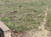 Продаётся  участок 5 сот, пос. Мехтиабад, photo 7 from 8