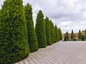 İcarəyə verilir 7 otaqlı həyət evi/bağ evi 360 m², Bilgəh q., photo 7 from 8