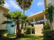 4 otaqlı həyət evi/bağ evi - Mərdəkan q. - 240 m²
