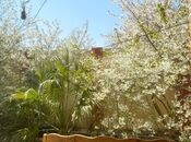 4 otaqlı həyət evi/bağ evi - Nardaran q. - 200 m²