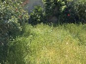 2 otaqlı həyət evi/bağ evi - Novxanı q. - 78 m²