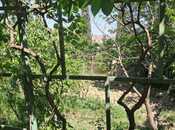 Satılır  torpaq 6 sot, Masazır q., photo 7 from 8