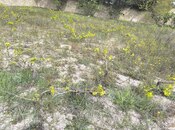 Продаётся  участок 1.5 сот, пос. Новханы, photo 6 from 7