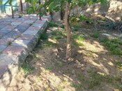 Продаётся  участок 4 сот, пос. Бадамдар, photo 5 from 5