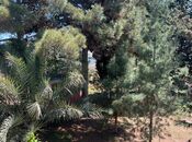 Продаётся 8-комн. дом/дача 320 м², Гарадагский р., photo 5 from 8