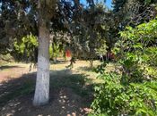 Продаётся 8-комн. дом/дача 320 м², Гарадагский р., photo 7 from 8
