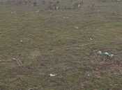 Satılır  torpaq 200 sot, Digah q., photo 2 from 4
